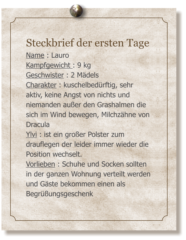 Steckbrief der ersten Tage Name : Lauro Kampfgewicht : 9 kg Geschwister : 2 Mdels Charakter : kuschelbedrftig, sehr  aktiv, keine Angst von nichts und niemanden auer den Grashalmen die sich im Wind bewegen, Milchzhne von Dracula  Ylvi : ist ein groer Polster zum drauflegen der leider immer wieder die Position wechselt.  Vorlieben : Schuhe und Socken sollten in der ganzen Wohnung verteilt werden und Gste bekommen einen als Begrungsgeschenk