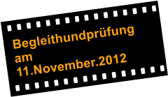 Begleithundprfung am  11.November.2012