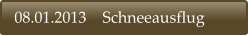 08.01.2013    Schneeausflug